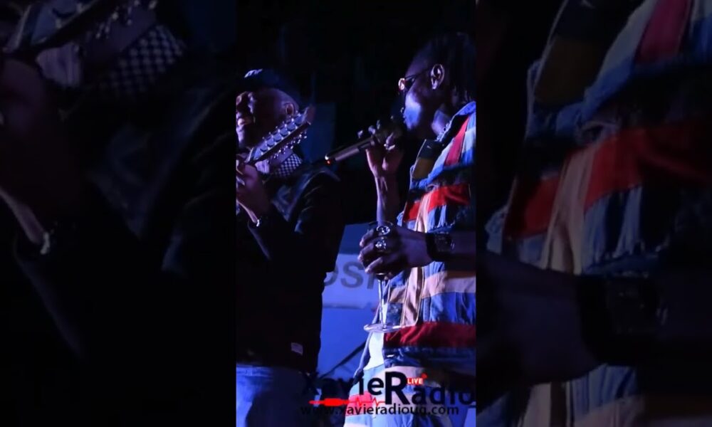 Pallaso Vs Allan Toniks