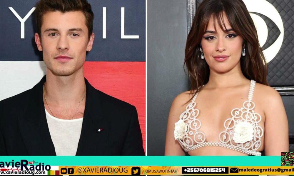 Shawn Mendes and Camila Cabello Fully Back Together After Coachella Hookup