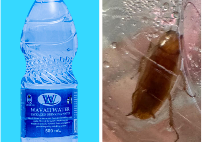 Customers Raise Alarm Over Wavah Water Quality After Cockroach Incident