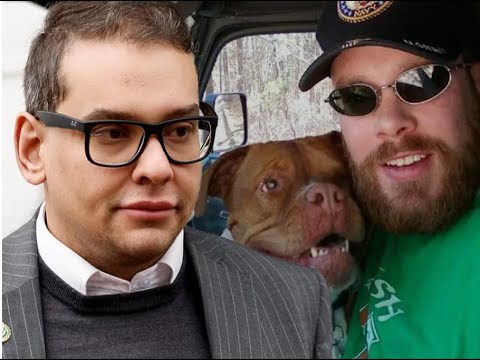 REP. GEORGE SANTOS DESERVES CRIMINAL CHARGES ASAP Says Navy Vet Whose Dog Died In Alleged Scam