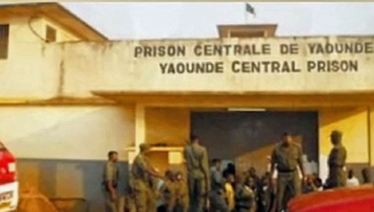 Five men freed after 4 months in prison for homosexuality
