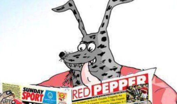 EXPERIENCED! Mr.Hyena Flees Home Due To Nightmares, Shafts Neighbor’s Wife Senselessly