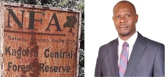 FOREST CHAOS! Probe Exposes Digital Licensing Flop, Land Allocation Gaps & Project Delays at NFA — Is ED Maniraguha Losing Grip?