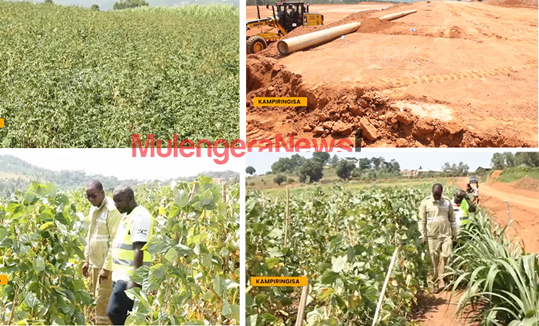 Gender Ministry Officials Accused of Sharing 30 Acres of Land as Ministries Frustrate M7’s Kampiringisa Fertilizers Project-80BN PROJECT AT STAKE!