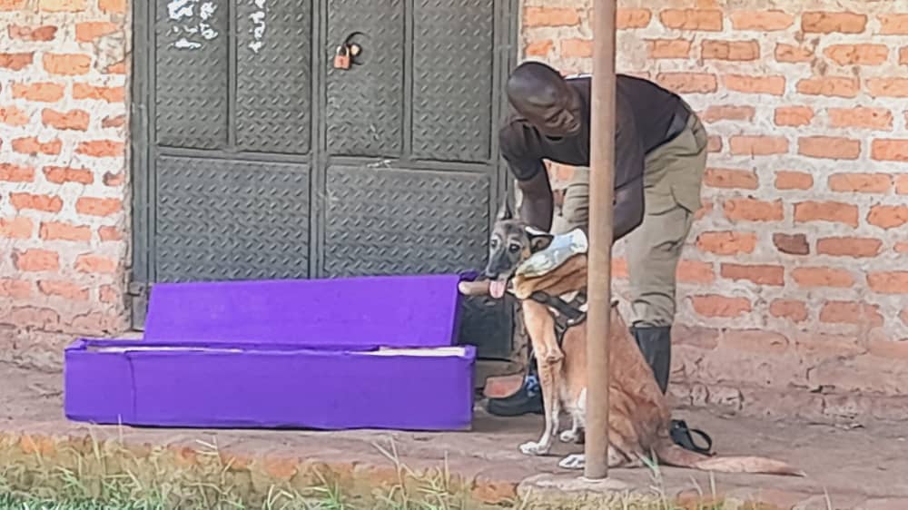 SHOCKING: COFFIN DROPPED AT HOME OF RESIDENT IN HOIMA CITY