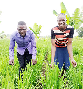 MPs question gov’t rice growing ban in Bukedi