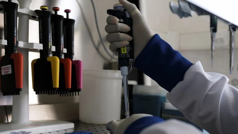 Powerful! How African Scientists Helped Stop A Deadly Hantavirus Outbreak At Sea