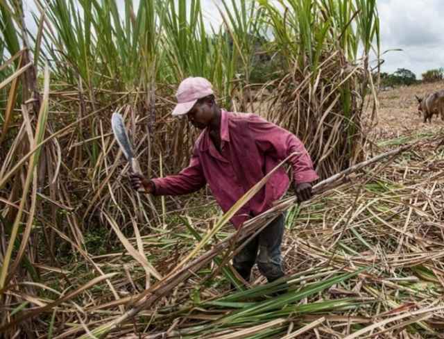Take Them Back! IGP Rescinds Earlier Directive, Orders Return Of Confiscated Farmers’ Weighbridges Amid Escalating Sugar War