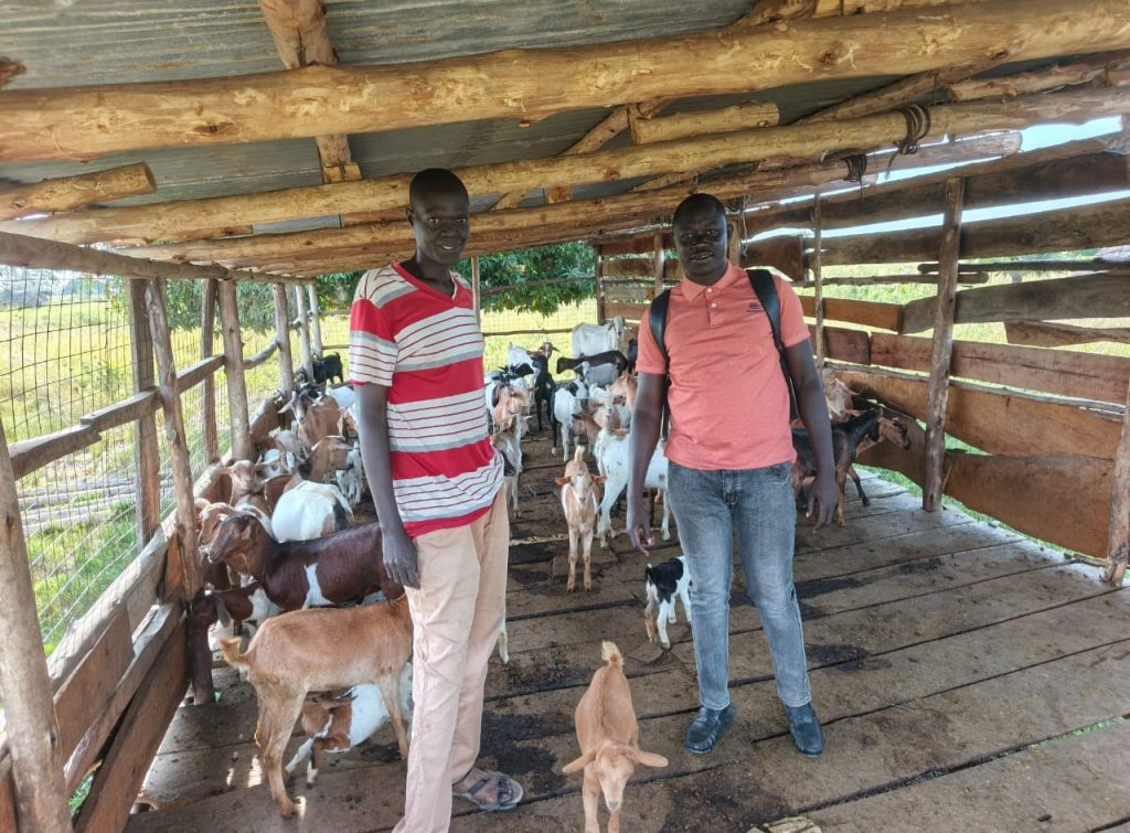 How PDM Changed Eceru Simon’s ’s Life in Kapelebyong  – The Voice Uganda