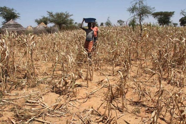 A PEASANT’S OPINION! Gov’t Should Count Food Produced By Each Village To Fight Food Insecurity