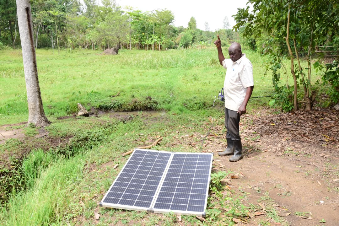 COCOA GOLD RUSH! Equity Bank’s Solar Irrigation Scheme Sparks Farming Revolution in Lira
