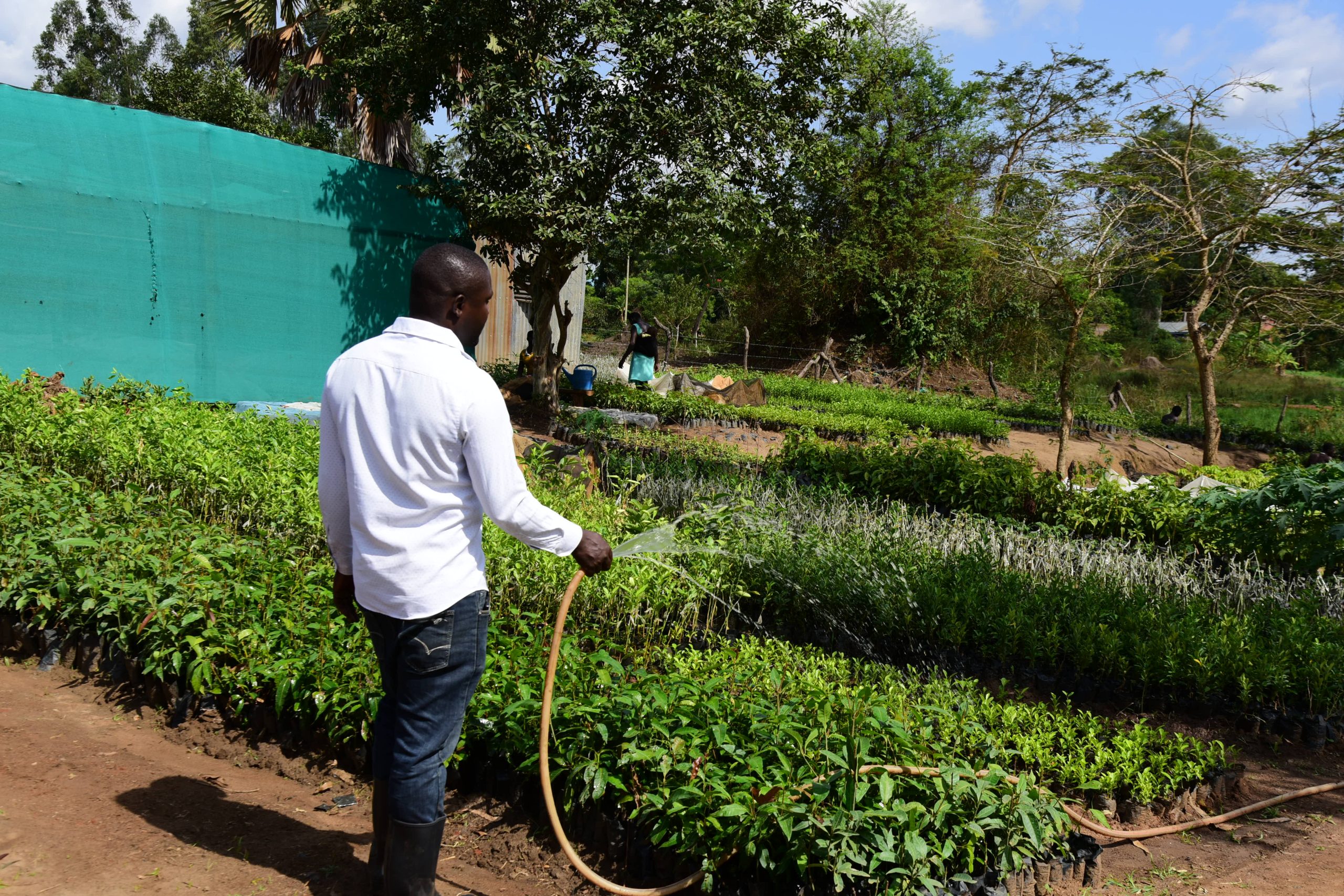 EQUITY BANK LIGHTS UP LIRA! Solar Irrigation Creates Wealth and Greener Livelihoods