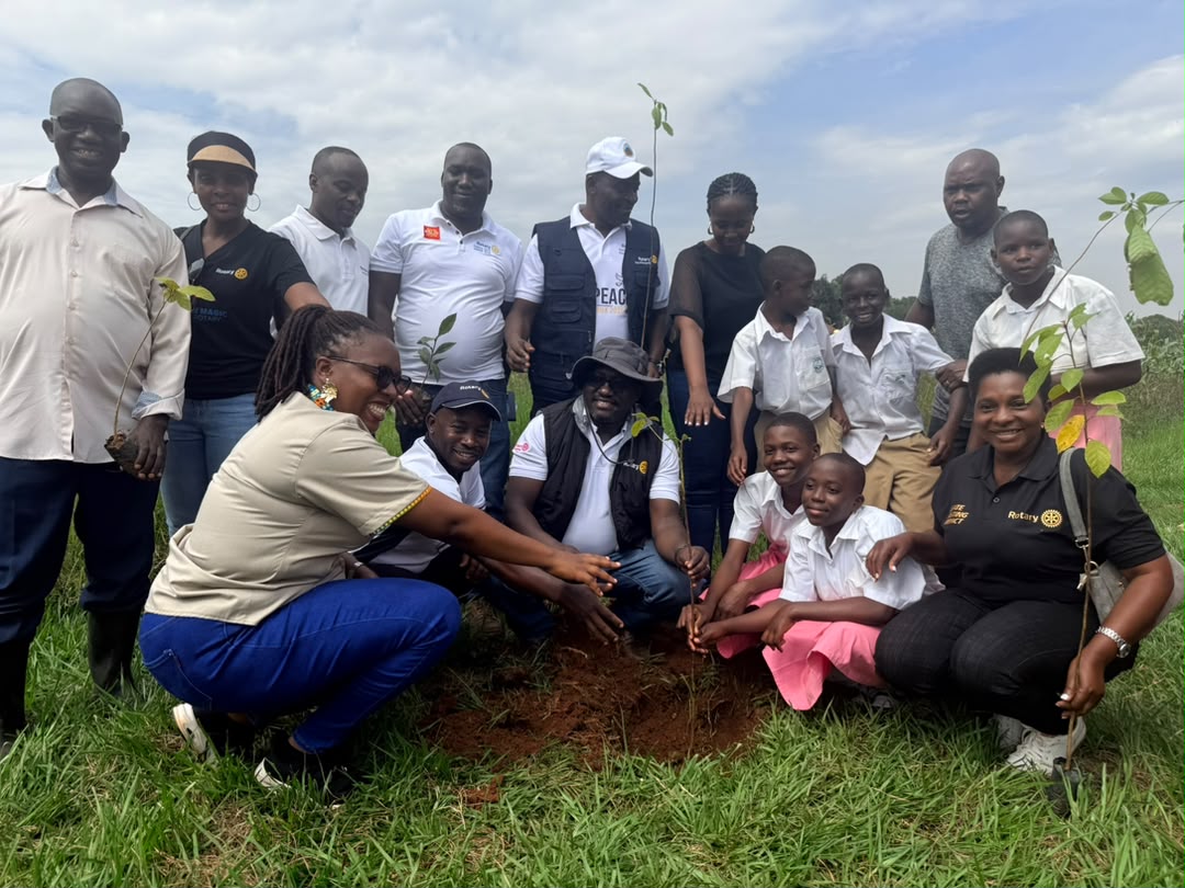 Environmentalist want stricter laws on construction, mandatory tree planting to curb ecological loss