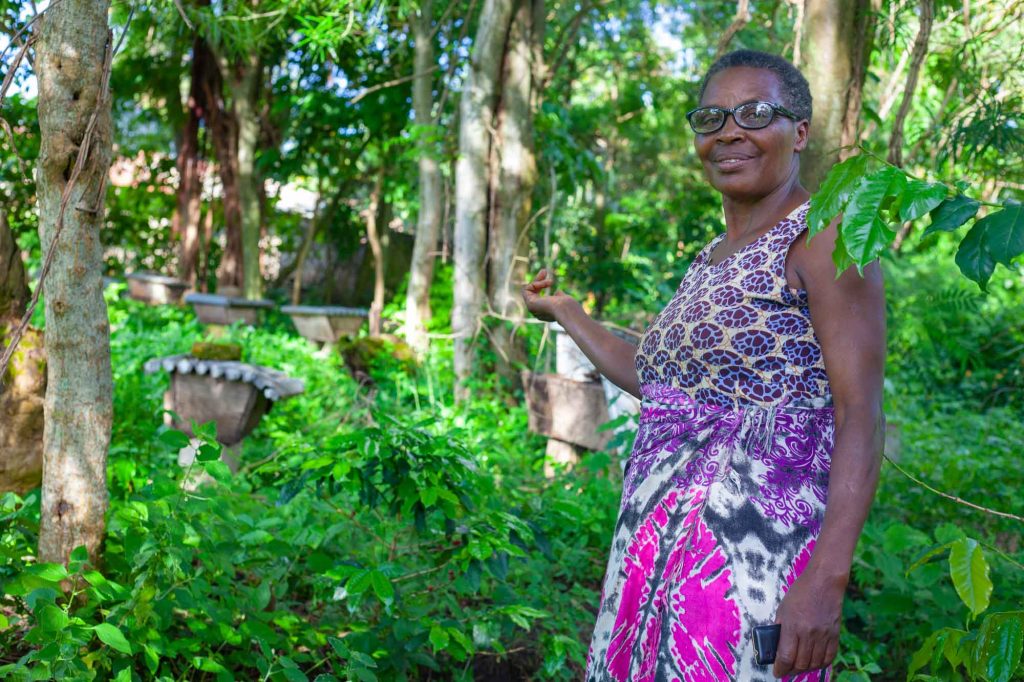 How ECOTRUST is Transforming Uganda’s Climate Frontlines Through Farmer Led Carbon Forestry – The Voice Uganda
