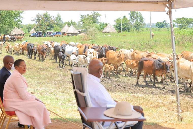 Museveni stuck with Anita Among