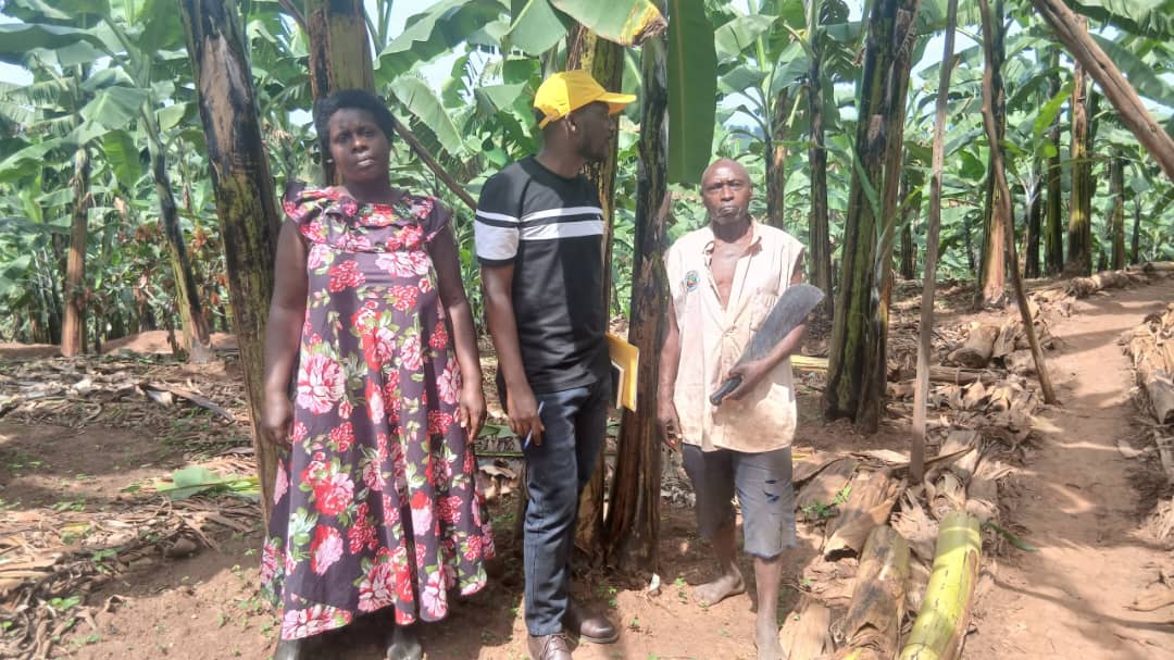 PDM Success Story: Transforming Livelihoods In Sheema District