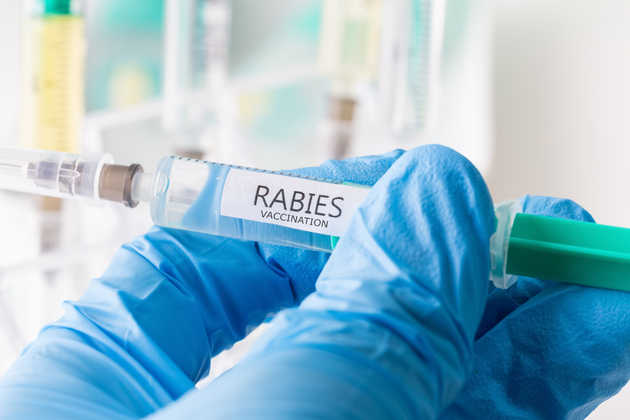 Rabies: Symptoms, Causes, Vaccine and Treatment