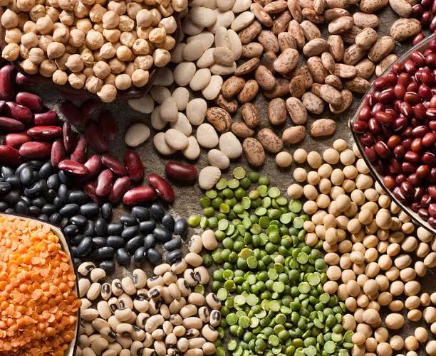 Pulses Industry Players to Receive Training for Sustainable Enterprises