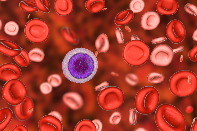 What is Mediterranean anemia (thalassemia)?  What are the symptoms and treatment methods?