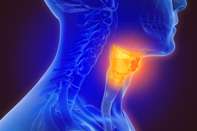 What is Pharynx and Pharynx Cancer?  Symptoms and Treatment Process