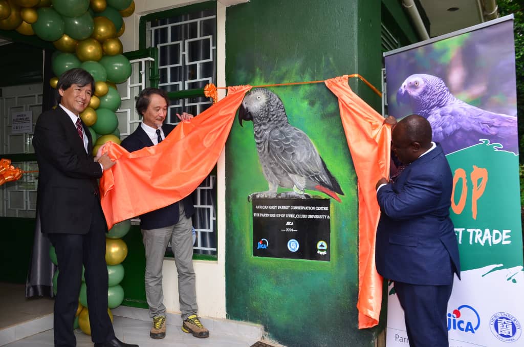 African grey parrot conservation centre is opened at UWEC