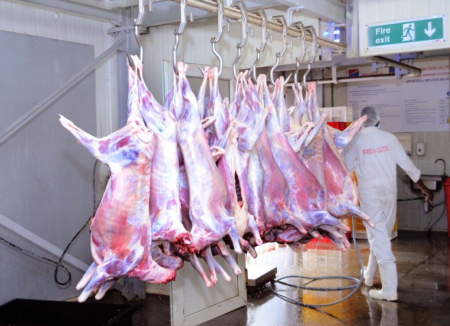 Kampala Slaughterhouses Operate Despite Livestock Quarantine for Foot and Mouth Disease