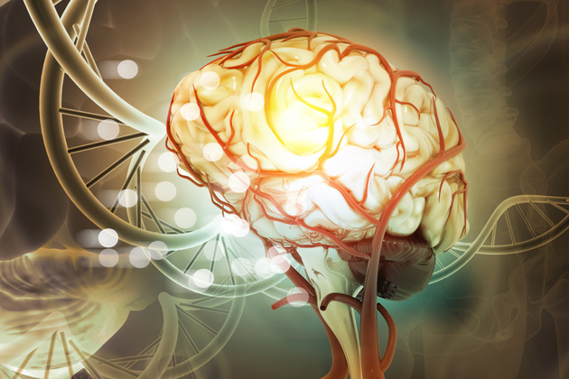 What is a Brain Stimulator?  Brain Stimulator Surgery and Its Effects