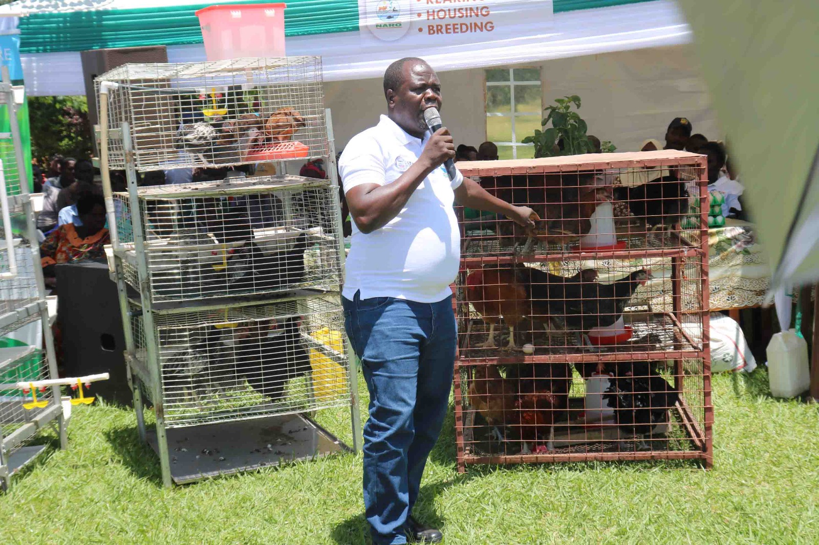 MUZARDI Partners with Potential Farmers to Disseminate Improved Breed of Local Chicken