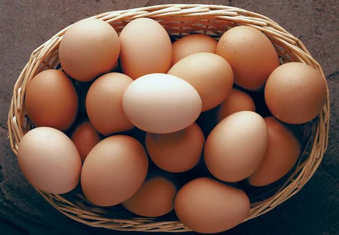 Uganda Vegan Society & Open Wing Alliance Commend 3 Hotels for Transparent Reporting on Cage-Free Egg Commitments