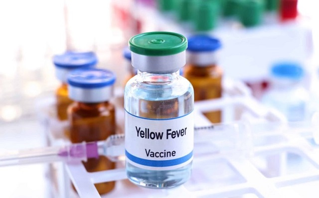 What You Didn’t Know About Yellow Fever Vaccines