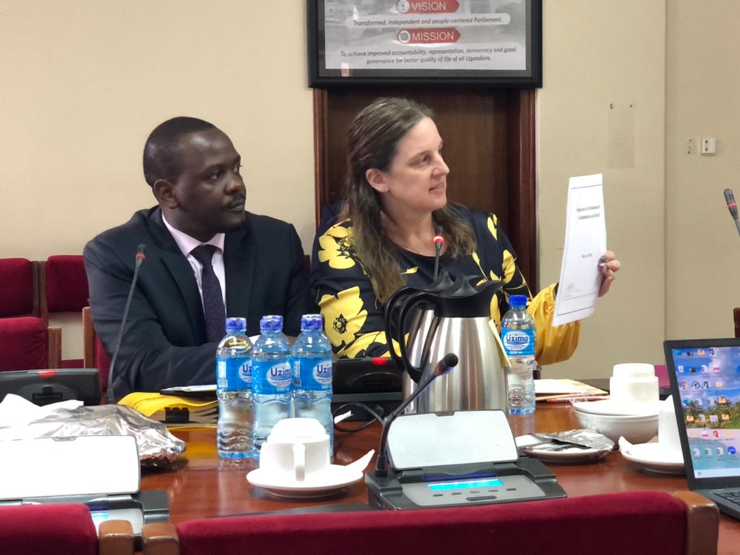 Ugandan MPs urged on international surrogacy ethical standards