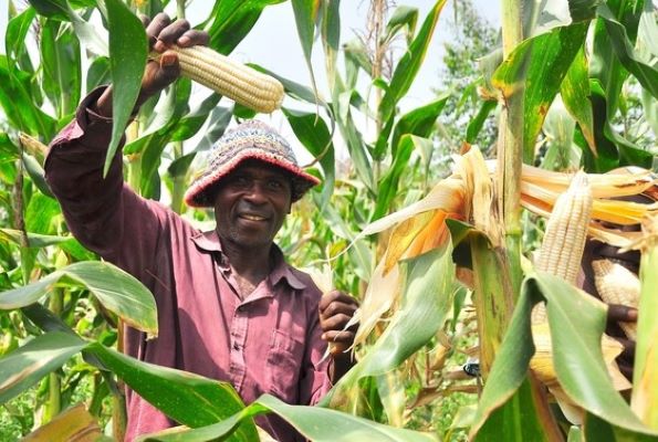 Murang’a Residents Urge Focus on Agriculture in Budget Priorities – The East Observer
