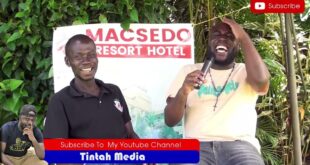 Tintah Media