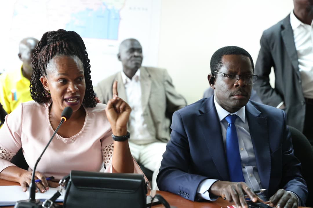 Ministry of Local Government Holds Consultative Meeting on Creation of