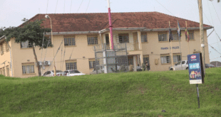 14 ARRESTED IN ISHAKA IN CONNECTION WITH PANGA MEN WHO