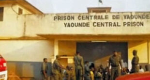 Cameroon police arrest and imprison 5 men for suspected homosexuality 6 Cameroon police arrest and imprison 5 men for suspected homosexuality