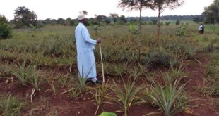 Deputy Mufti tips Youth on proper utilization of time 2 Deputy Mufti tips Youth on proper utilization of time