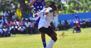 Finance Trust Women Super League From Debutants to Danger Team