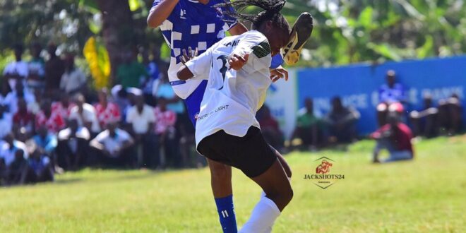 Finance Trust Women Super League From Debutants to Danger Team