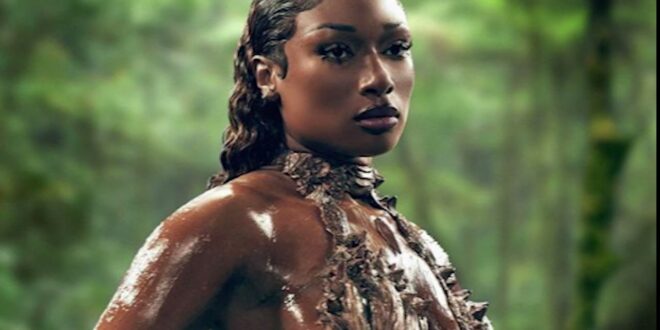 MEGAN THEE STALLION’S BODY CAUSES INTERNET MELTDOWN WITH NEW ‘COBRA’ TEASER 1 Fast News
