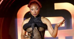 Megan Thee Stallion Calls Out Alleged Paid Bots For Attacking Her 9 Fast News