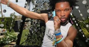 Private Investigator In d4vd Case Reveals Timeline For Singer's Tesla 3 Fast News