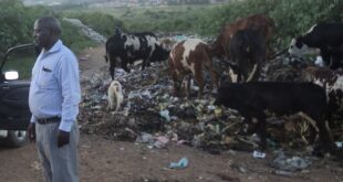 STINK WAR! Land Grabbers on Spot as Church Leaders, Residents Demand Relocation of Kenkombe Garbage Site 4 One of the parts in Kenkombe garbage dumping site