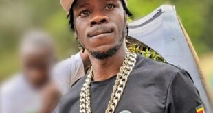 Singer Alien Skin Reports to Police Over Alleged Role in
