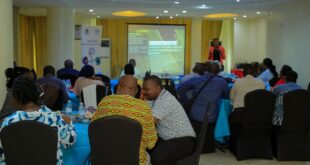 UNAU Urges Local Leaders to Harness Citizen Generated Data for Sustainable