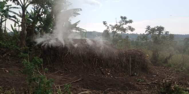 charcoal burning going on the land