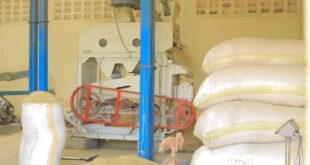 LEGS Project Spurs Economic Growth and Livelihood Transformation in Bunyangabu