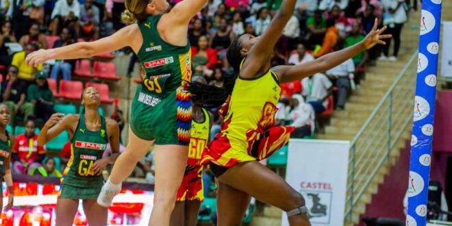 Africa Netball Championship She Cranes Too Weak for the Final