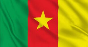 Flag of Cameroon