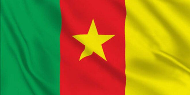 Flag of Cameroon
